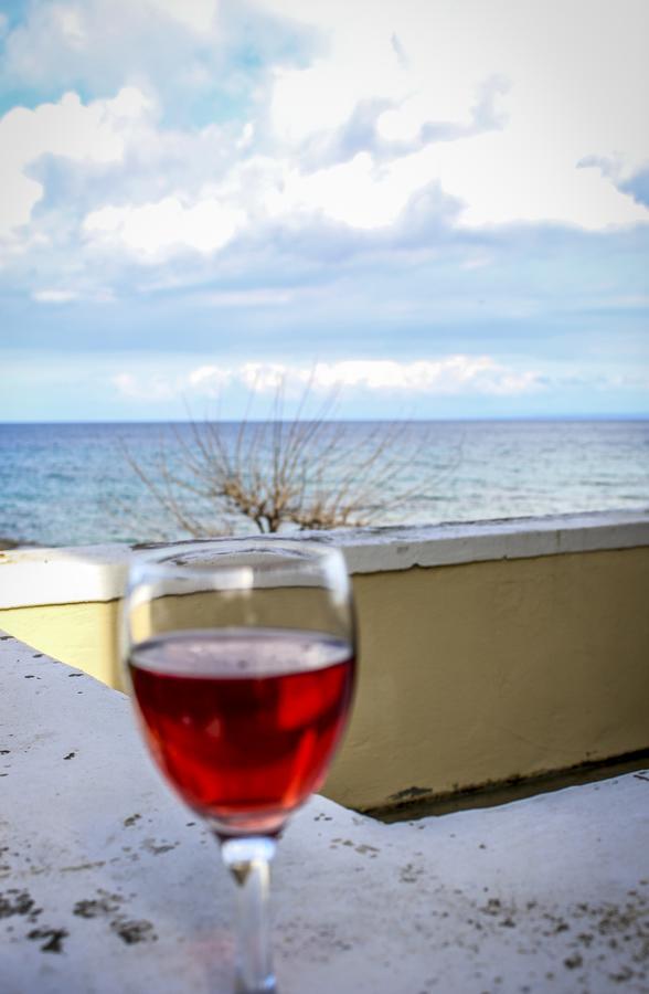 Pelagion II Sea Coral - Beachfront Holiday Home Kypseli Ngoại thất bức ảnh